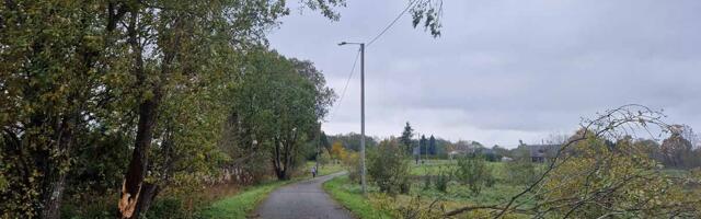 Elektrilevi kasu­tas tormi tõttu generaatoreid Ida-Harju 12 alajaamas