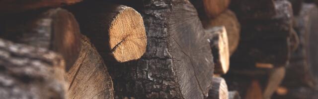 Valga vald otsib metsa väljavedajat