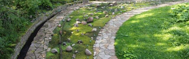 Samblaaed on kaunis igal aastaajal