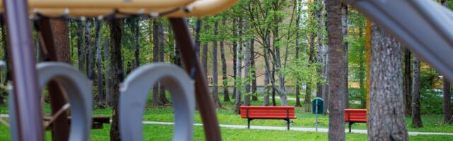 Pussitamine Annelinnas: „Polegi midagi imestada, peaaegu igal õhtul rüüpavad.“