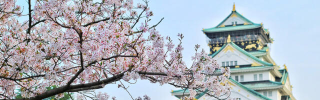 Japani – maa, jossa yksityiskohdat määrittävät kokonaisuuden