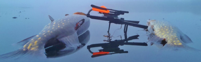 HAUGI KUDERAHU VALVAVAD VABATAHTLIKUD