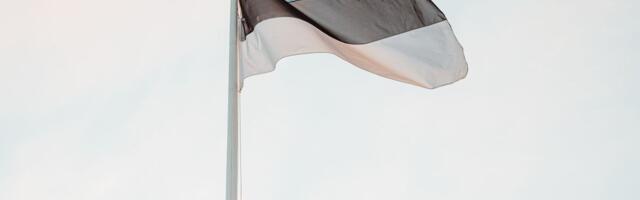 NÄDALA KUJU ⟩ Eesti lipp