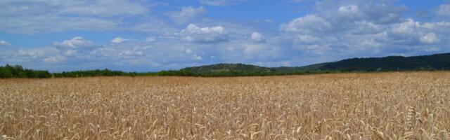 USA töötab välja Ukraina viljaekspordi alternatiive