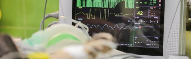 Veterinaararstidele tulevad koolituspäevad