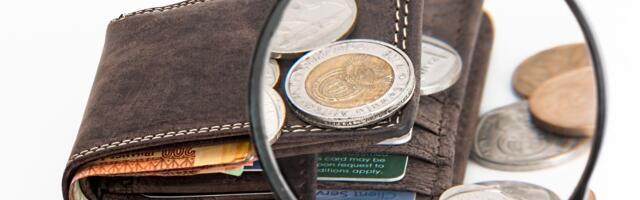 Milline palk on sinu omavalitsusjuhil?