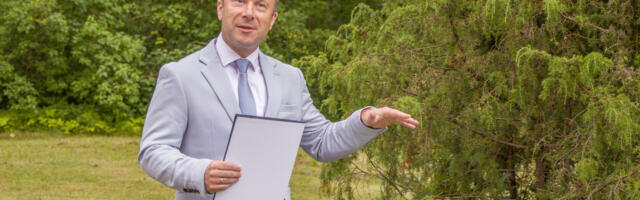 Kuldar Leis: Eesti pole ainult Tallinn