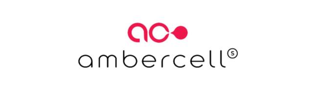 AmberCell otsib Eesti piirkonna juhti