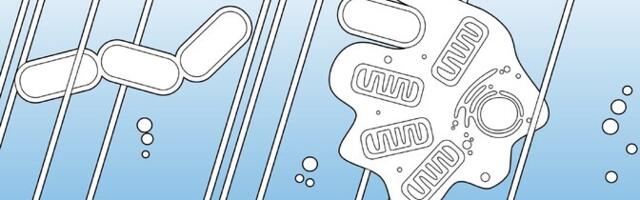 Elu hakkas keerukaks minema miljard aastat seniarvatust varem