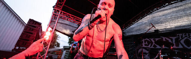 Arvustus. Punk pole surnud, vaid muteerunud