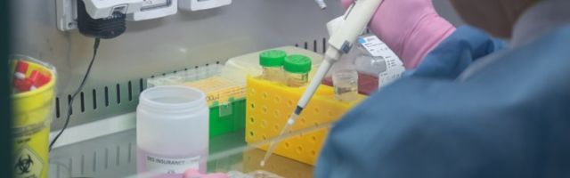 Värsked uuringud: lapsed ei jäänud koroonaviirusest puutumata