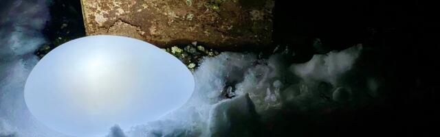 Palun tule minuga kaasa ehk muljeid Audi Q8 e-tron Eesti esmaesitluselt