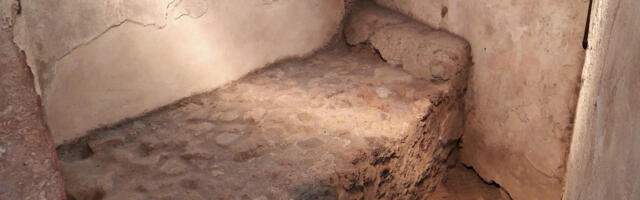 KOLUMN ⟩ Jüri Kotšinev: Läänemets ehk suguelu vanas Roomas