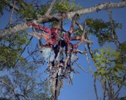 Kui saastumine on muutnud meid ja maailma