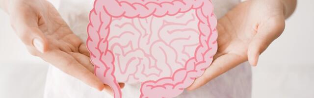 Uuring: soolestiku bakterid mängivad rolli ärevushäirete kujunemises