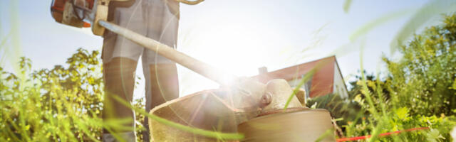 Ostujuht. Trimmer lõikab muru, umbrohtu ja võsa