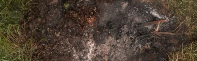 Lõuna-Eesti päästjad said väljakutsed Valgast, Tartu- ja Võrumaalt