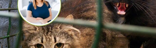 Carol Laurimaa: elus läbi kukkunud inimesi saadavad uriinis hinge vaakuvad loomad. Nad tuleb omanikult ära võtta