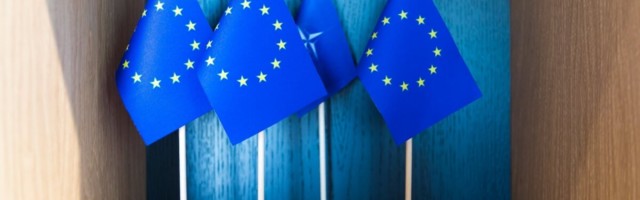 Euroopa Liit prognoosib majanduskasvu. 2022. aasta lõpuks peaksid kõik liikmesriigid jõudma tagasi kriisieelsele tasemele
