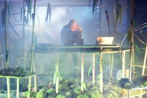 Biotoopia konverentsi programm toob Lahemaale 7 välisriigi kunstnikud ja teadlased