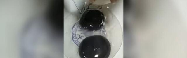 Hani muneb mustade rebudega mune ja keegi ei tea miks