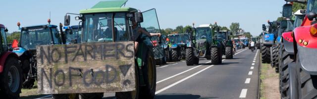 Nälgimine rohepöörde nimel – Holland asub EL-i toel loomakasvatust koomale tõmbama 
