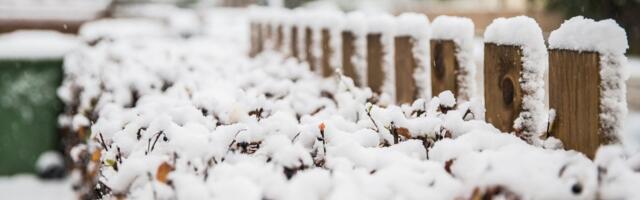ILMATEADE | Sajab lund ja lörtsi, temperatuur langeb väga madalale