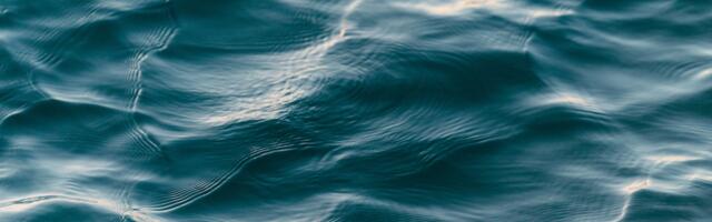 Tänu valvsale kodanikule said Tõrva päästjad päästa tüdruku uppumisohust