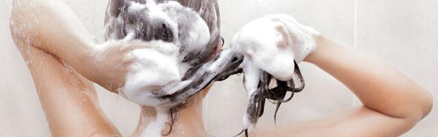 See köögikapist leitav aine takistab juustel rasuseks muutumist