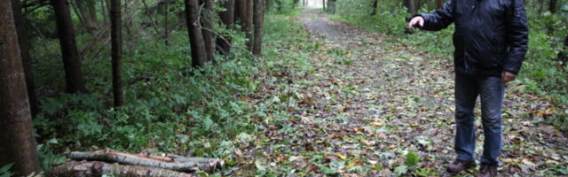 VARGUS HIIUMAA MOODI | Rannapargis saetud tormimurd virutati ära