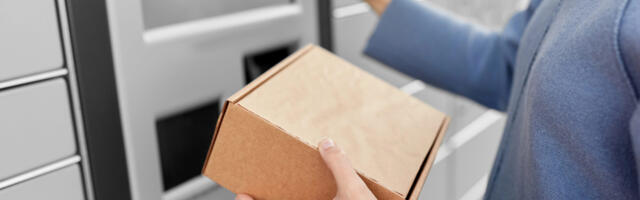 TOP 10: 2025. aasta suurimad piiriülesed e-poed