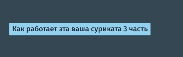 Как работает эта ваша суриката 3 часть
