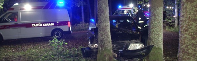 Reporter: Viljandimaal Ulge kandis sõitis nooruk metsavahelisel teel vastu puud