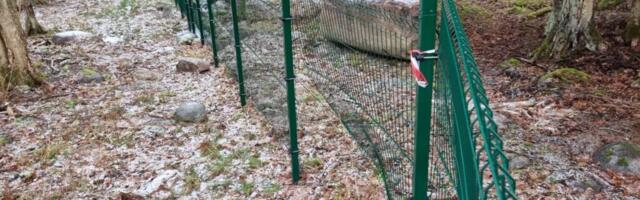 Vooglaid keeldus Tammelaane aeda vabatahtlikult teisaldamast