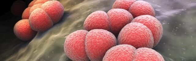 CDC hoiatab ebatavaliste sümptomitega bakteriaalse infektsiooni eest