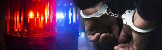 "Sve ću da vas zakoljem": Nasilnik prvo nožem napao suprugu, pa sa porodicom fizički nasrnuo na policajce