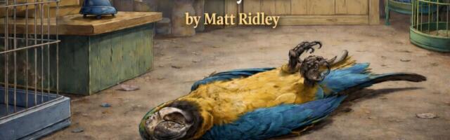 Kliimapapagoi on peaaegu surnud