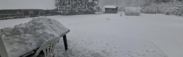 ILMABLOGI | Eesti on kattunud koheva lumega, üle 3000 majapidamise on elektrita