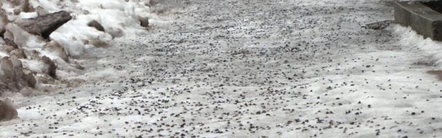 Kesklinna elanikud saavad linnaosavalitsuselt graniitsõelmeid