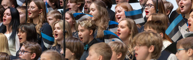 Tähista vabariigi aastapäeva ERMis