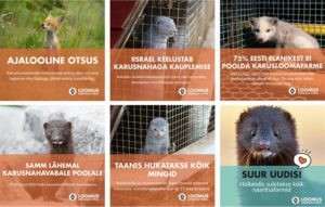 Mis on loomaõiguslaste suurim saavutus?