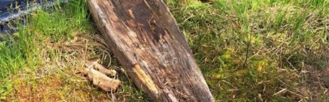 Võrumaa järvest leiti mitme tuhande aasta vanune paadi osa