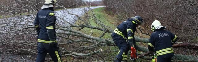 ILMATEADE | Tormituul murrab puid, toob kaasa elektrikatkestusi ja häirib laevaliiklust