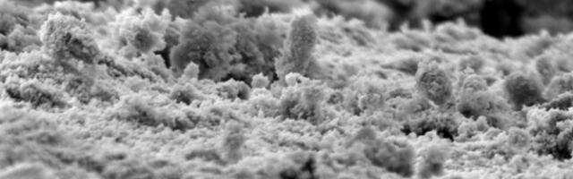 Bakterivastased pinnakatted võivad pikema aja jooksul alt vedada