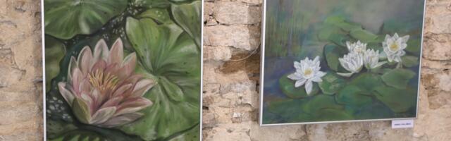 Galerii: kunstikooli hoovigalerii avas hooaja Monet’ vesiroosidega