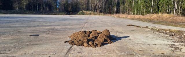 IROONILINE! Kas Kompostiväljaku nimi eksitab?