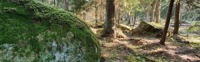 Andres Jaanus: tere tulemast tagasi, Norringi!