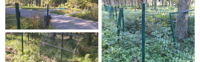 JUHTKIRI: mis on vallavõimu tegelik plaan Tammelaane DP-ga?