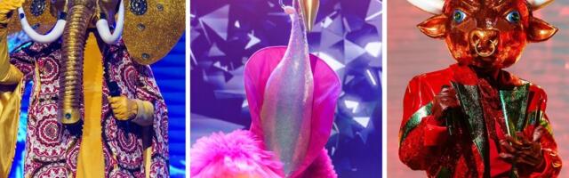 ÜLEVAADE | Järgmine väljalangeja teada? Televaatajad on kindlad, et Flamingo kostüümis peitub Desiree Mumm