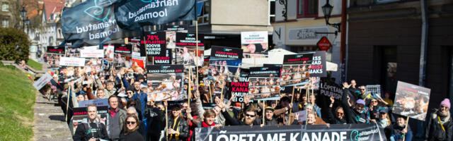 FOTOD I Täna toimus Tallinnas rongkäik „Marss kanad puurist vabaks“